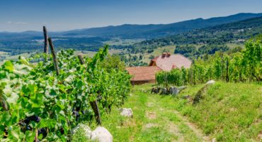 Bela-krajina-shutterstock_1038257938