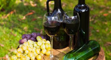 grozdje-in-vino2©Shutterstock
